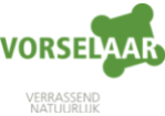 Logo Gemeente Vorselaar
